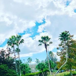 Meet your Posher, Ava